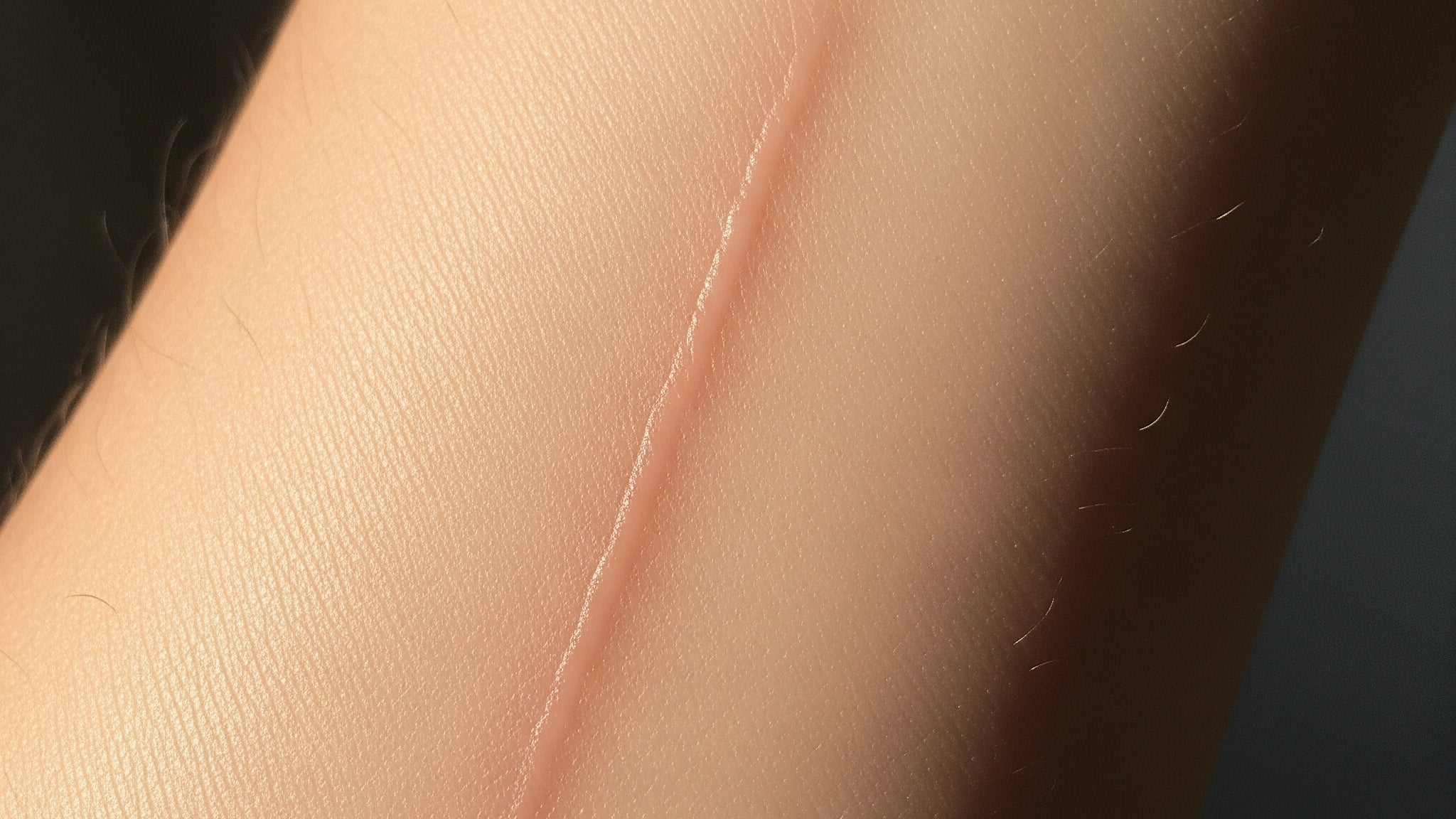 Alfa-bisabolol: o ativo natural com ação calmante e anti-inflamatória para a pele